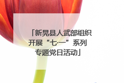 新晃县人武部组织开展“七·一”系列专题党日活动